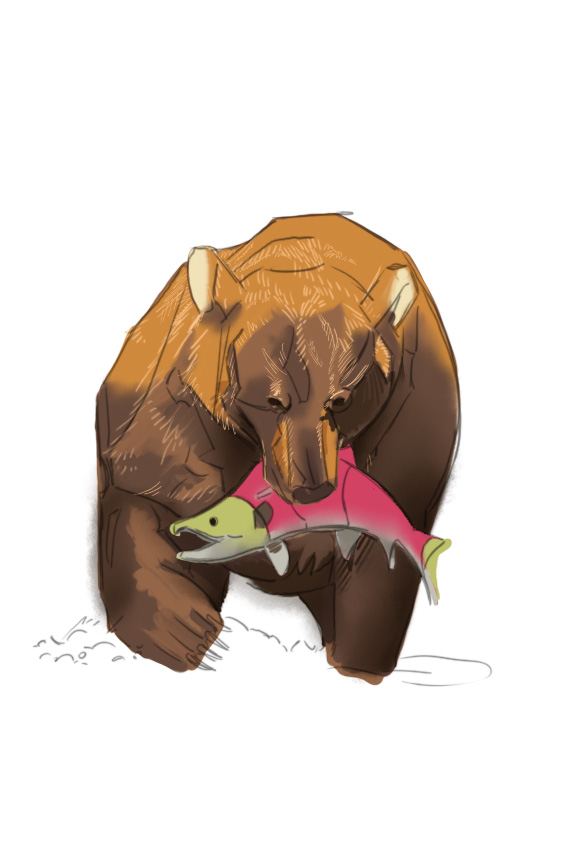 bear and salmon