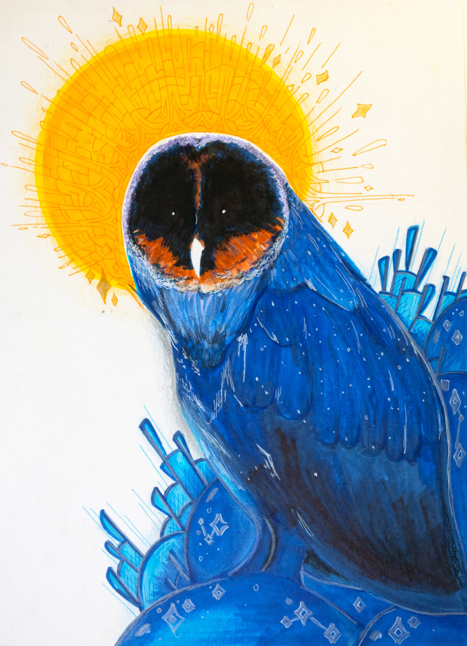 blue owl print