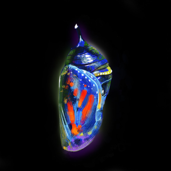 chrysalis print